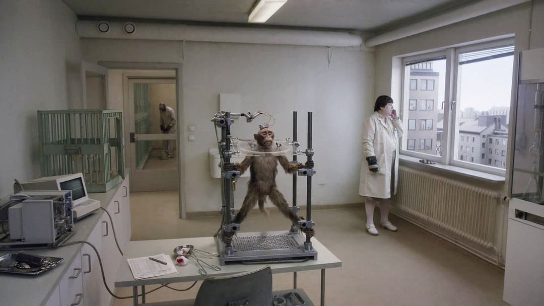 Eine Taube sitzt auf einem Zweig und denkt über das Leben nach backdrop 6