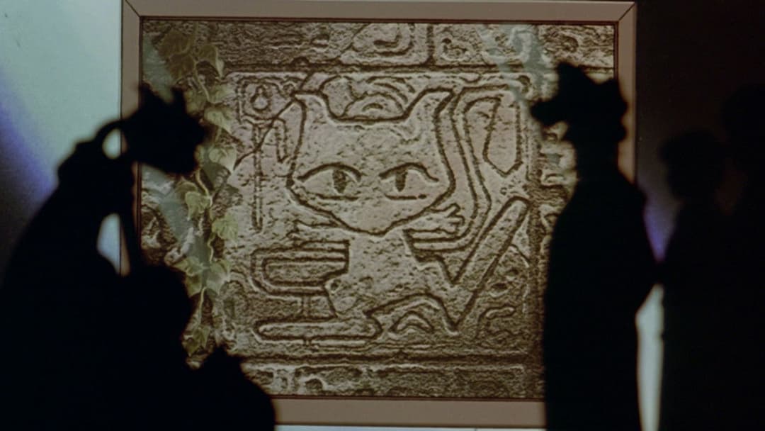 劇場版ポケットモンスター ミュウツーの逆襲 backdrop 13