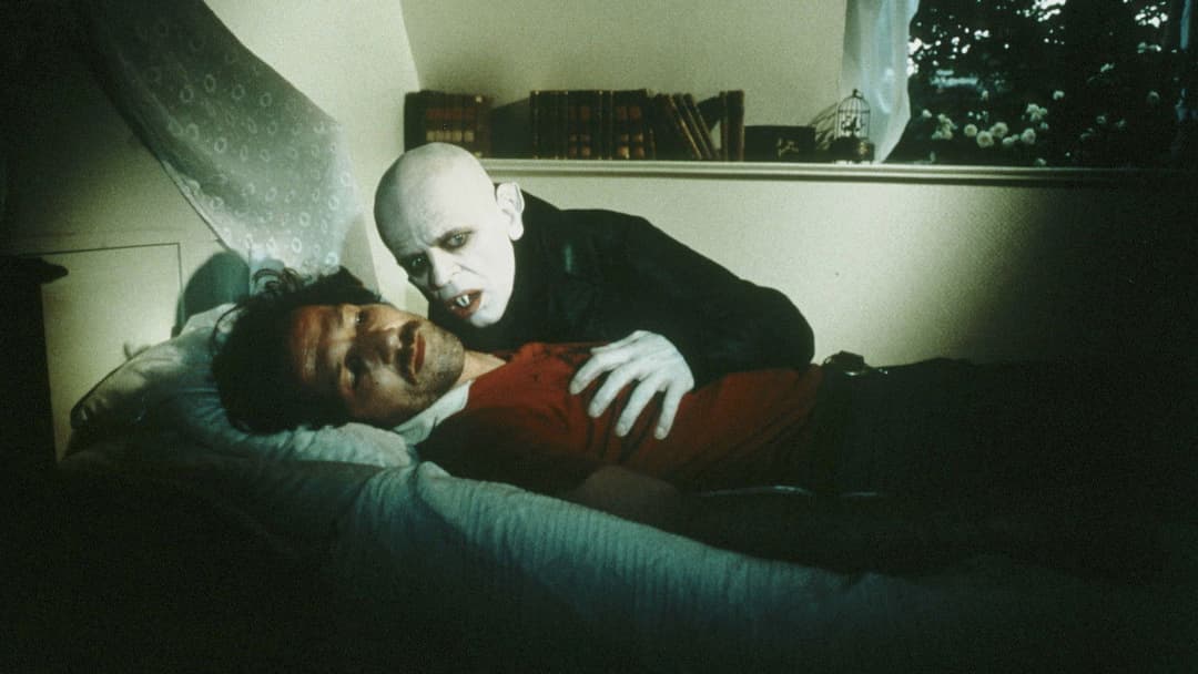 Mein liebster Feind backdrop 4