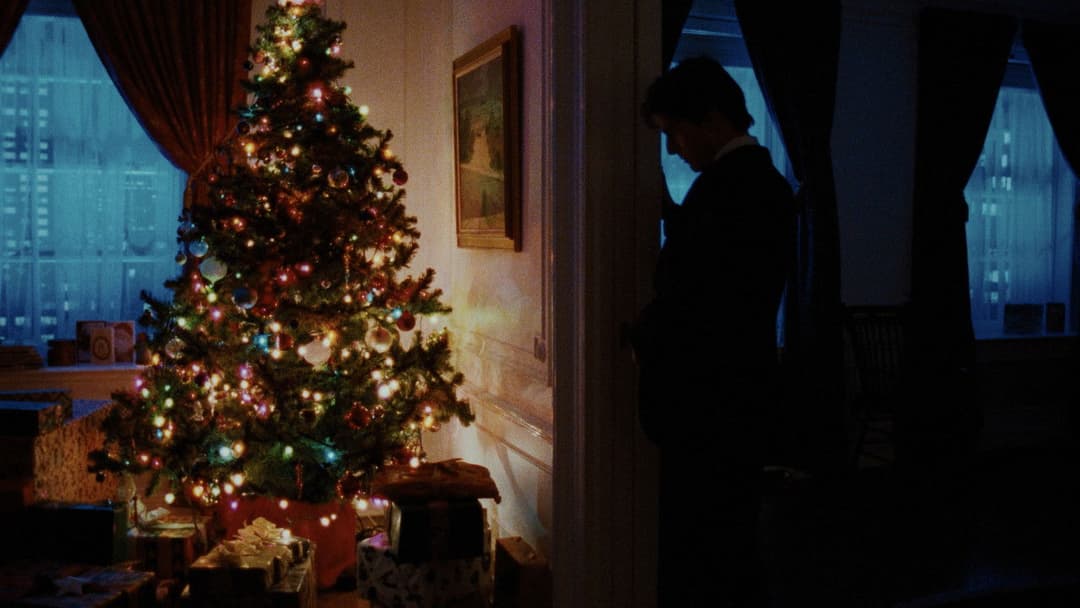 Із широко заплющеними очима backdrop 17