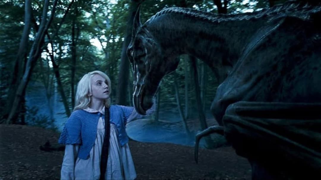 Harry Potter und der Orden des Phönix backdrop 10