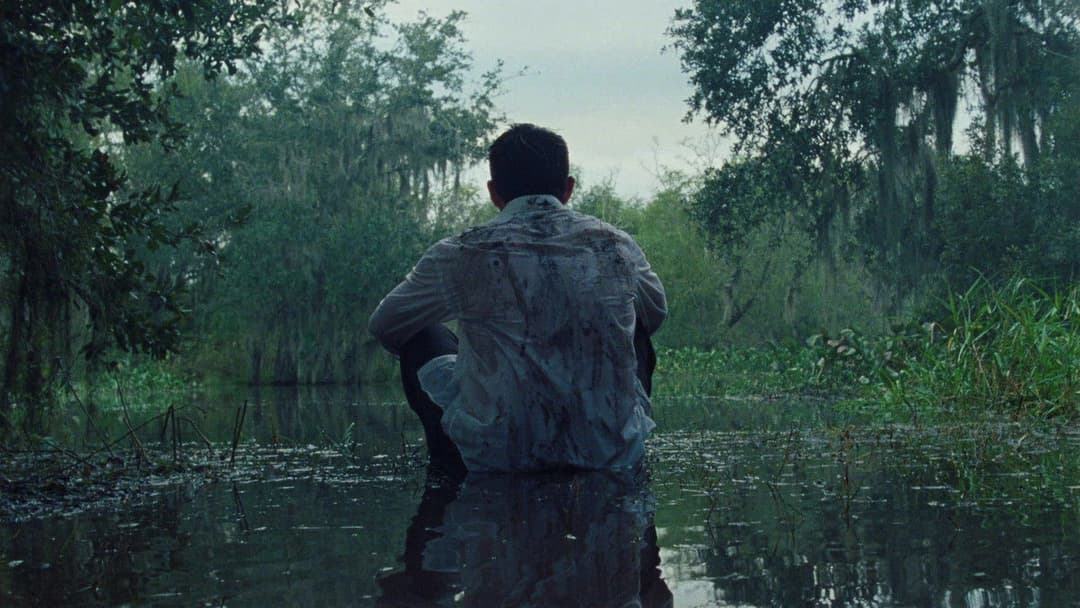 Синя затока backdrop 14