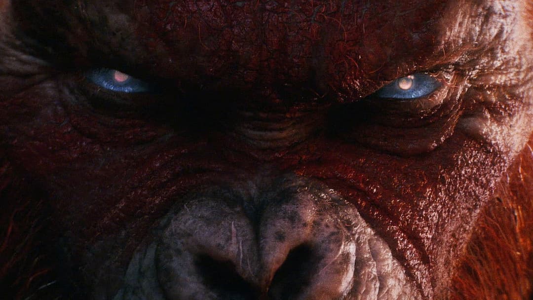 Ґодзілла та Конґ: Нова імперія backdrop 9