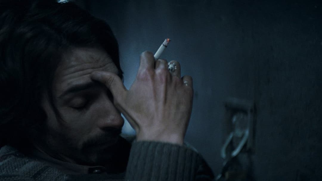 Снігова спільнота backdrop 20