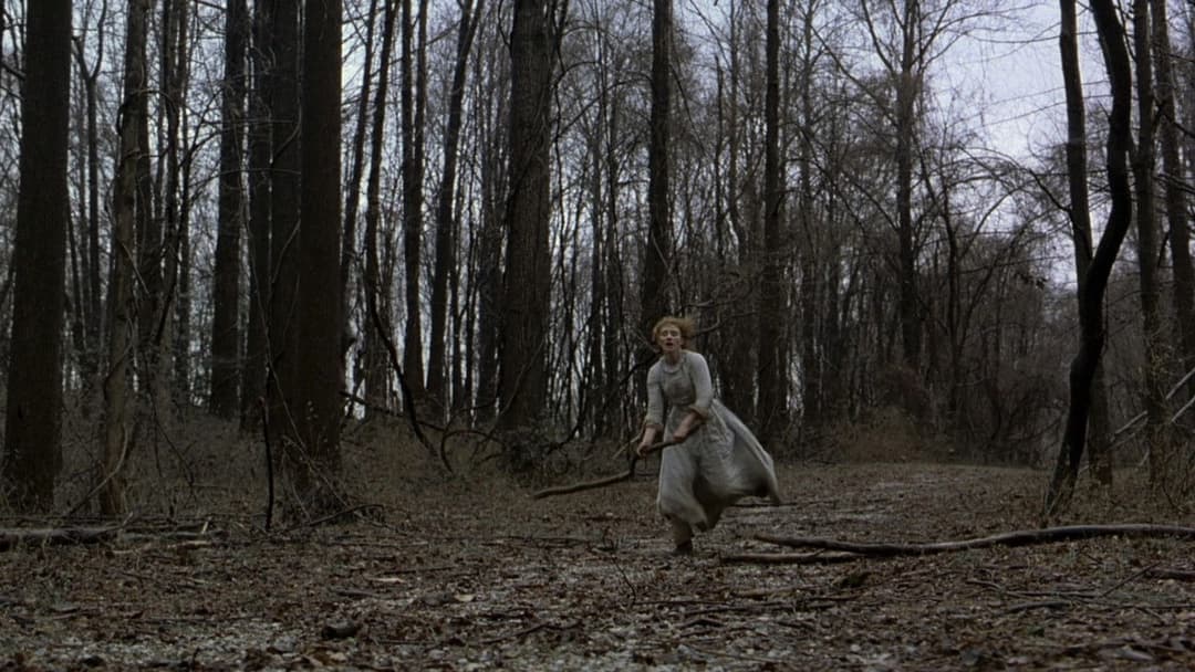 Таємничий ліс backdrop 16