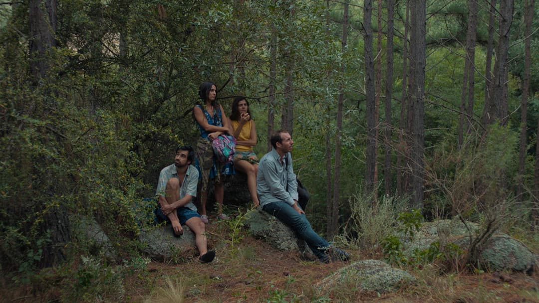 Die Missetäter backdrop 9