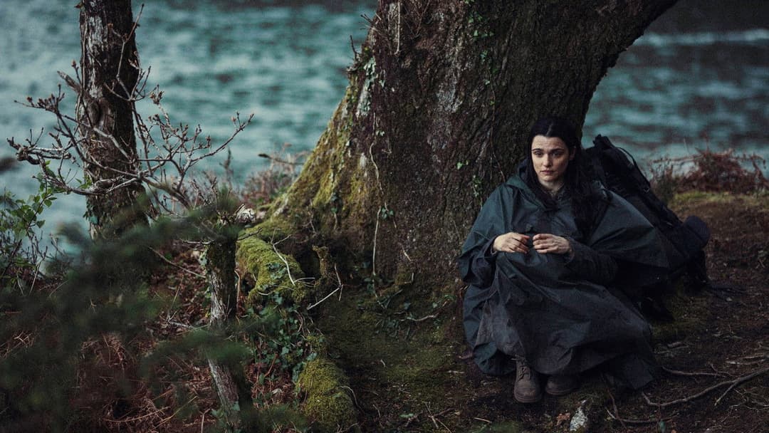 Лобстер backdrop 13