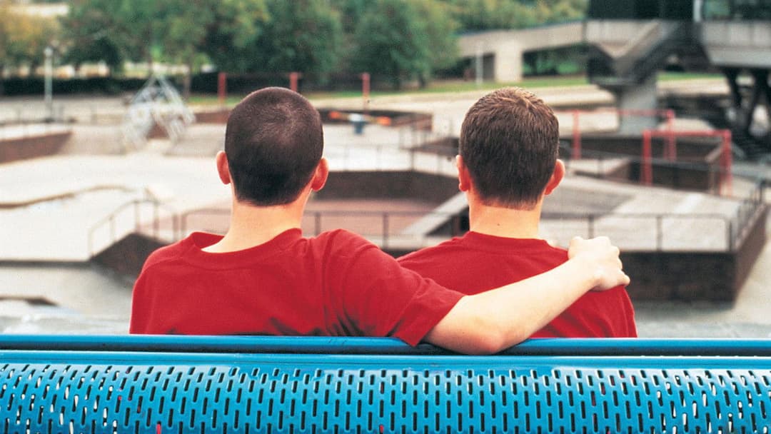 Краса backdrop 13