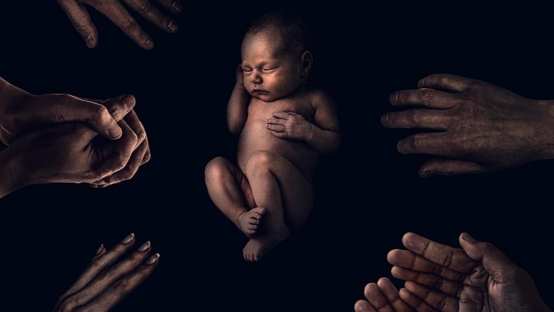 The King Tide backdrop 4