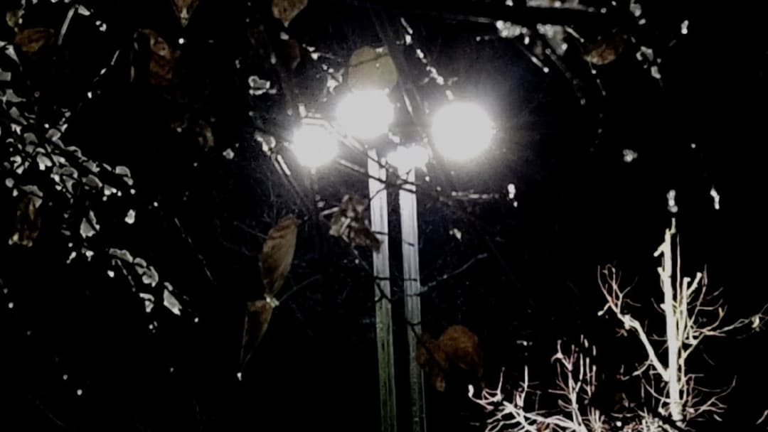 Chaos in The City backdrop 3