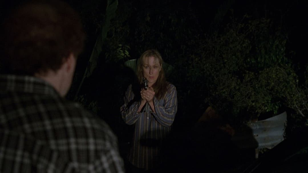 Адаптація. backdrop 17