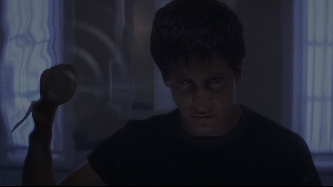 Донні Дарко backdrop 14