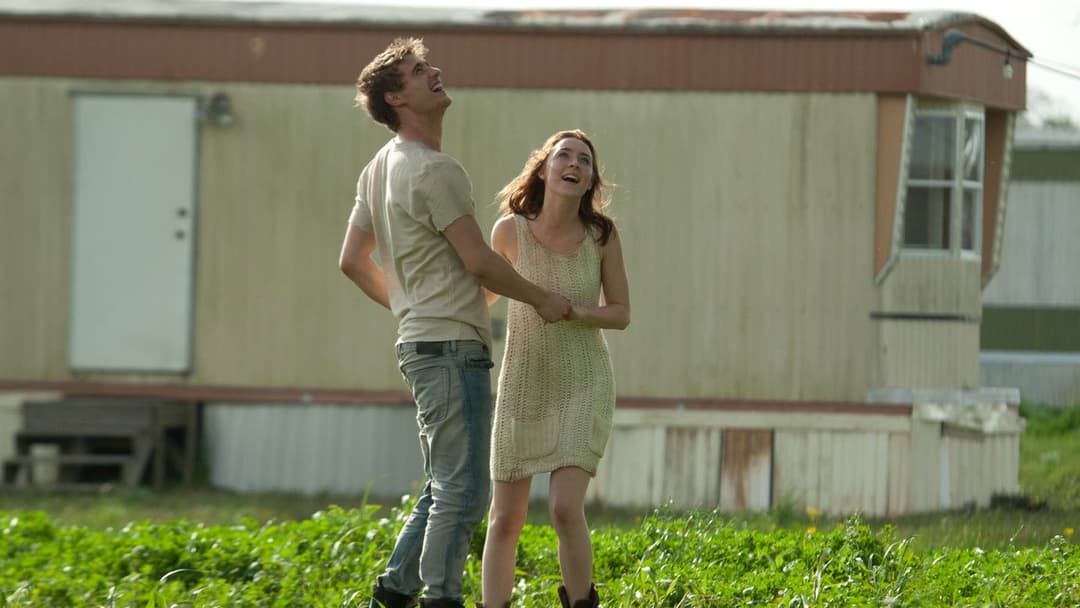 Гостя backdrop 11