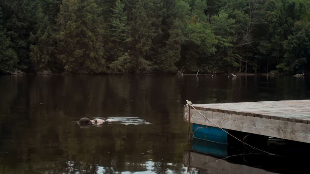 Природа насильства backdrop 11