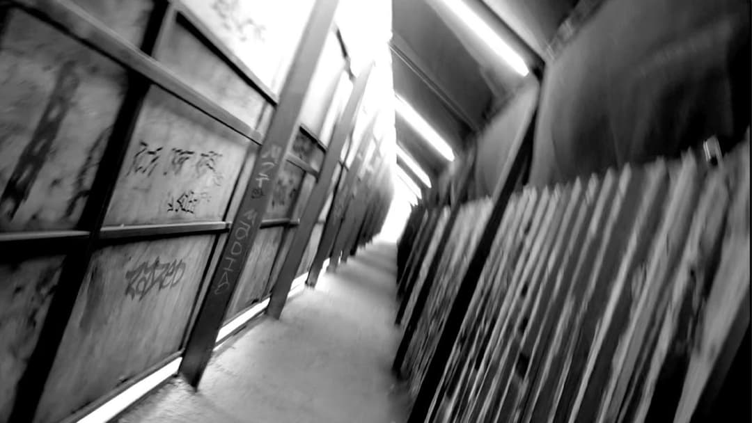 Chaos in The City backdrop 1