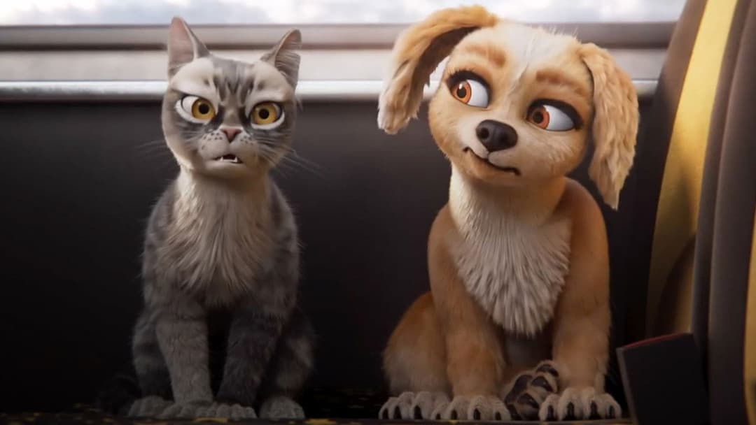 Gracie & Pedro: Pets to the Rescue backdrop 3