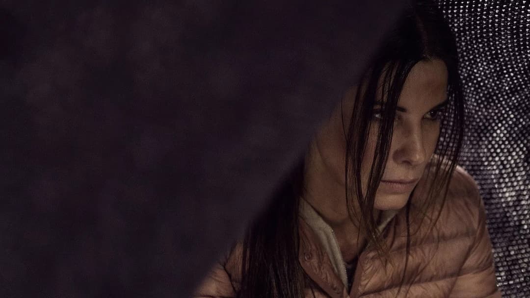 Пташиний короб backdrop 4