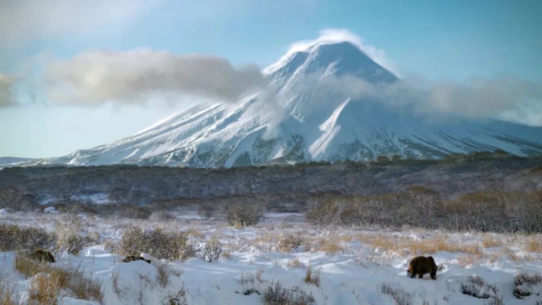 Royaumes d'Asie backdrop 4