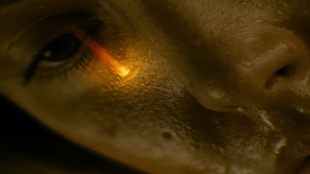 Sunshine backdrop 20