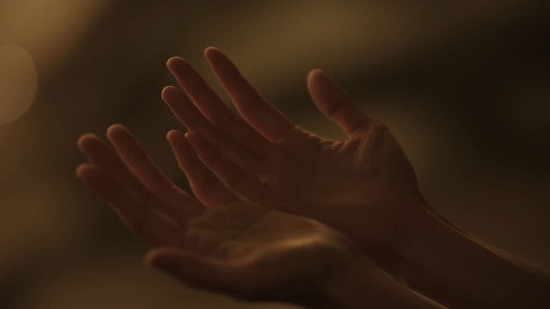 Будинок колібрі backdrop 10