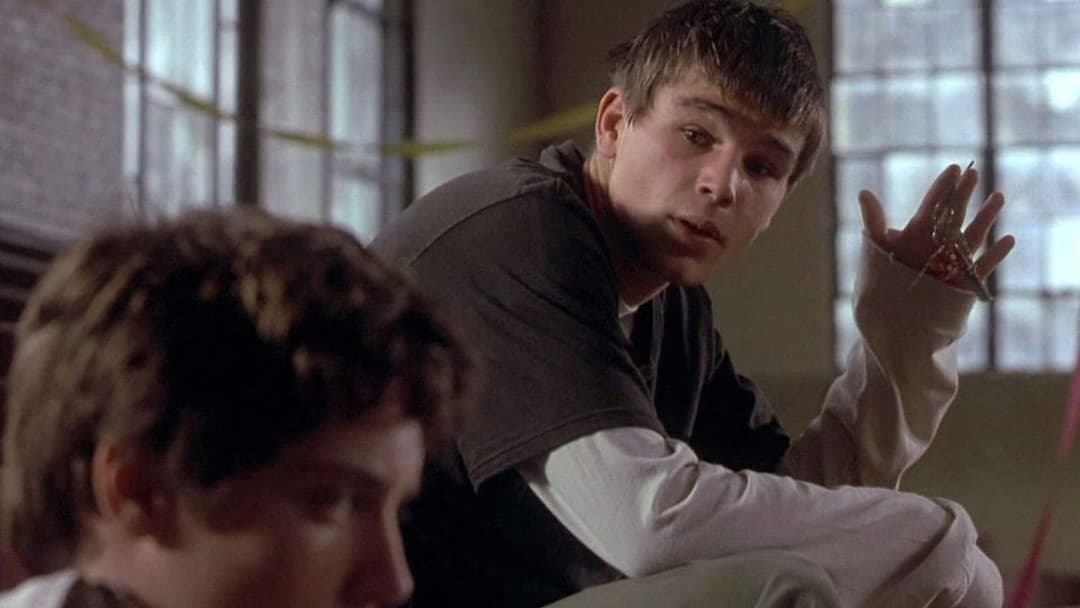 Факультет backdrop 20