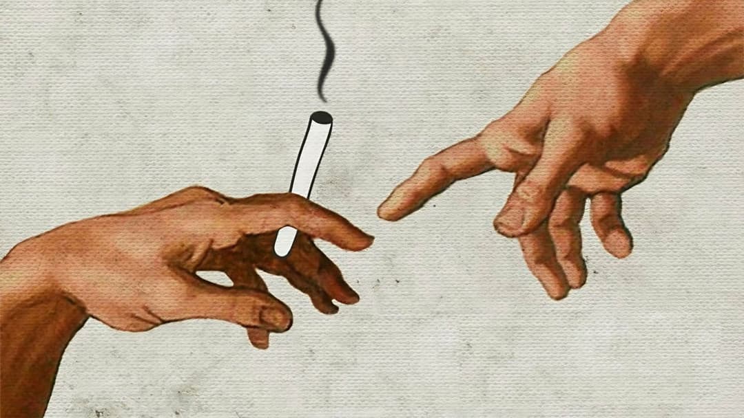 Догма backdrop 16