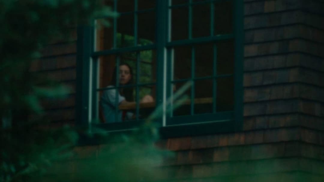 Чорний ведмідь backdrop 14