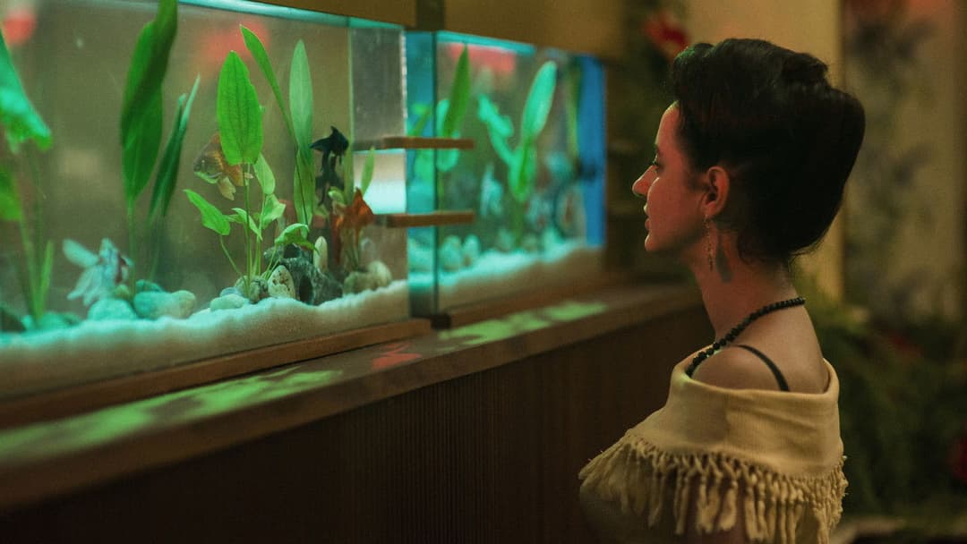 A Vida Invisível backdrop 9