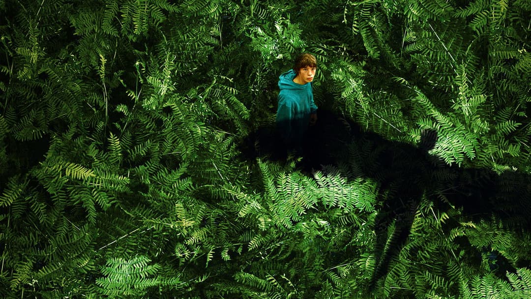 Королівство тварин backdrop 8