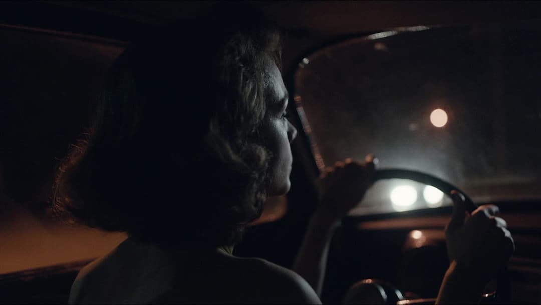 Wildlife backdrop 11