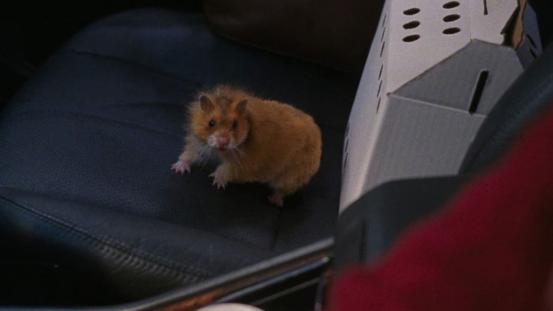 Я не залізна backdrop 12