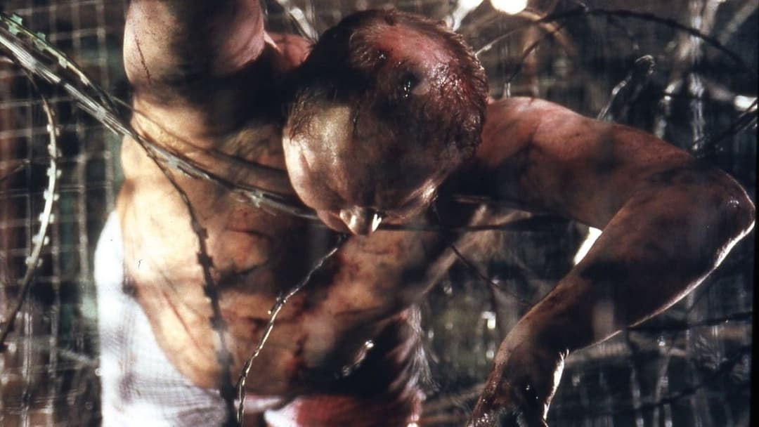 Пила backdrop 16