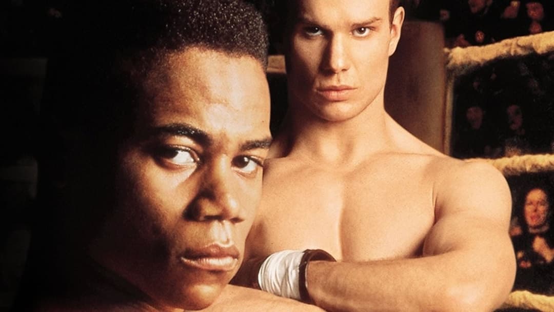 Fäuste - Du musst um dein Recht kämpfen backdrop 3