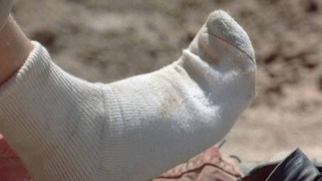 Das Geheimnis von Green Lake backdrop 10