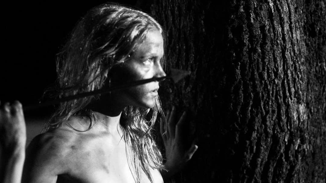 November backdrop 14