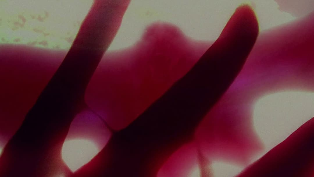 Людина-метелик backdrop 19