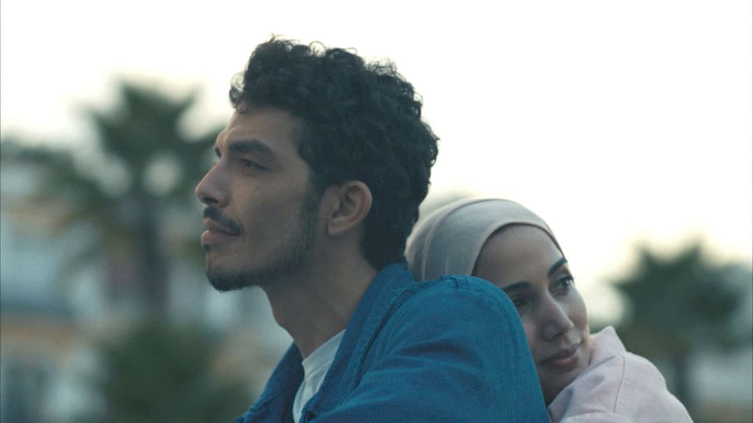 Behind the Palm Trees backdrop 3