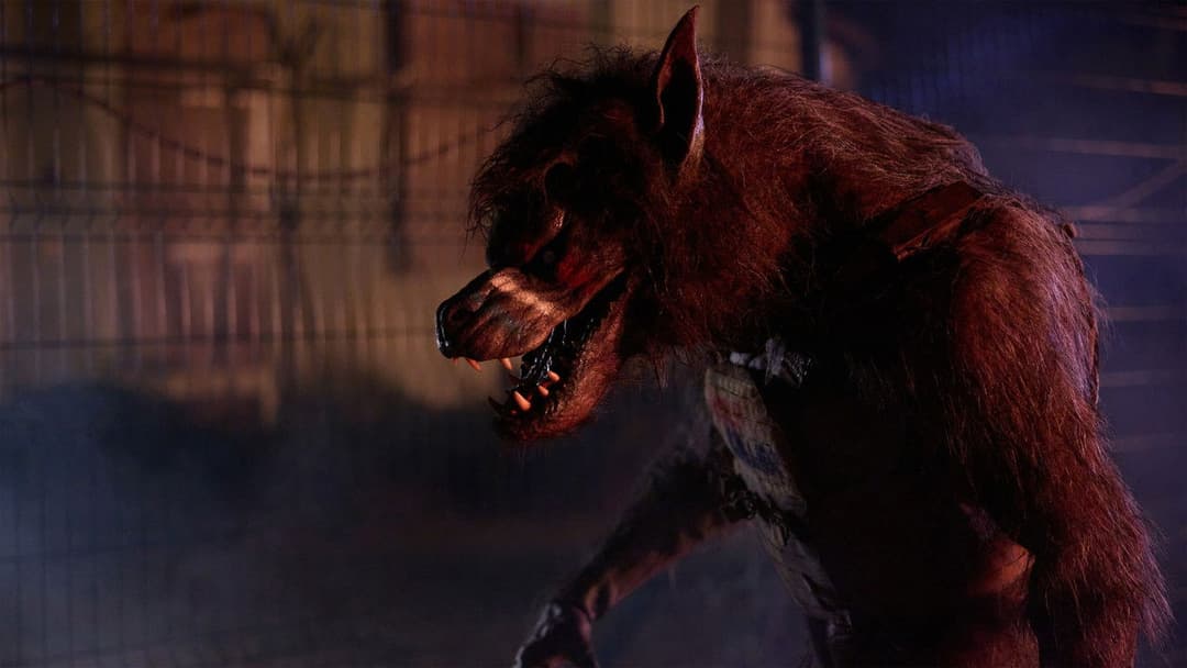 Werewolves backdrop 9