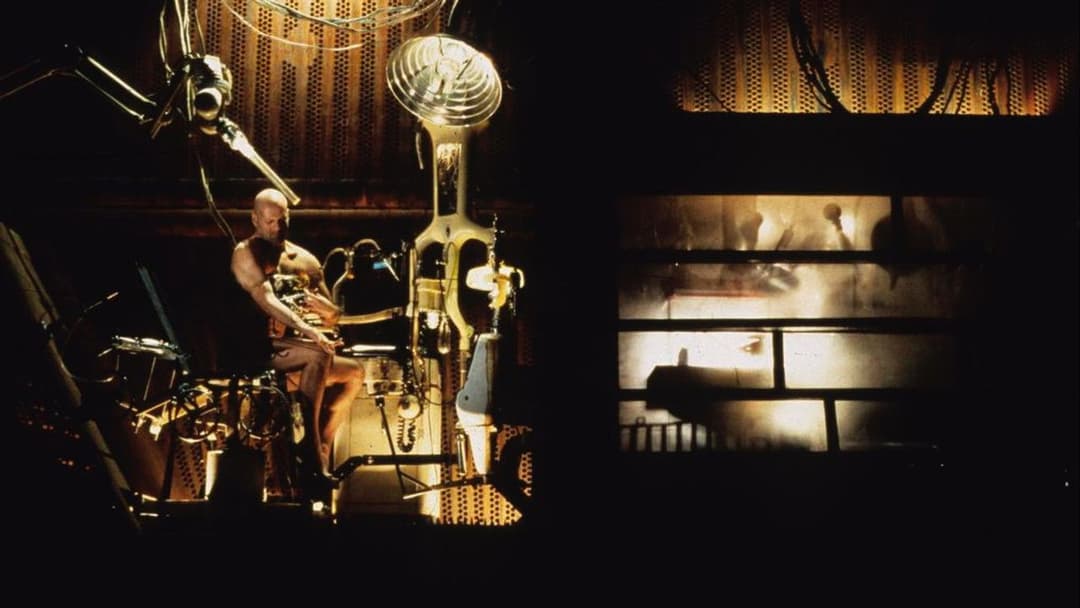 12 мавп backdrop 17