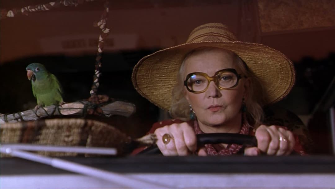 Paulie - Ein Plappermaul macht seinen Weg backdrop 9