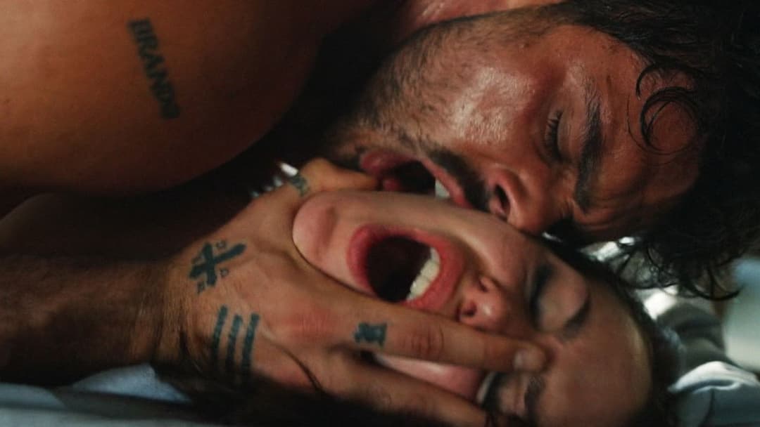 365 днів backdrop 6