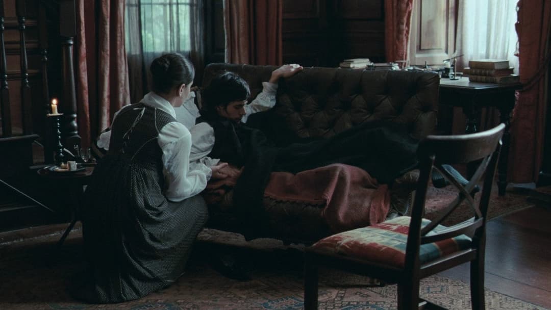 Bright Star backdrop 15