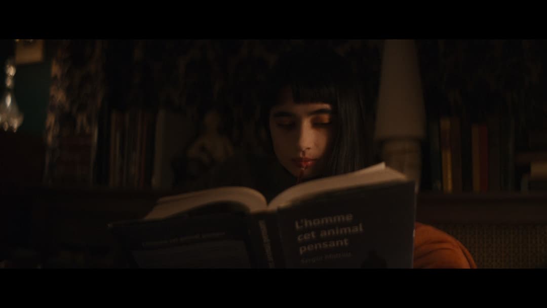 Feinfühlige Vampirin sucht lebensmüdes Opfer backdrop 17