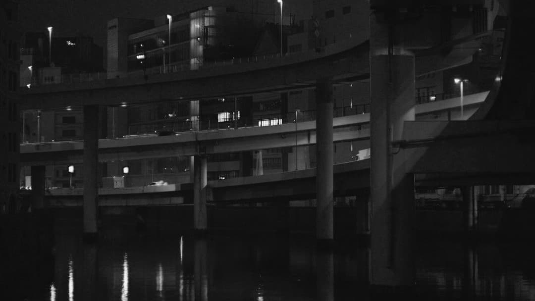 Perfect Days backdrop 5