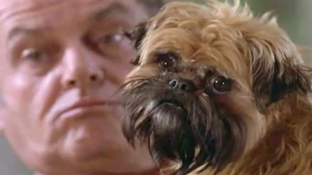 Краще не буває backdrop 5