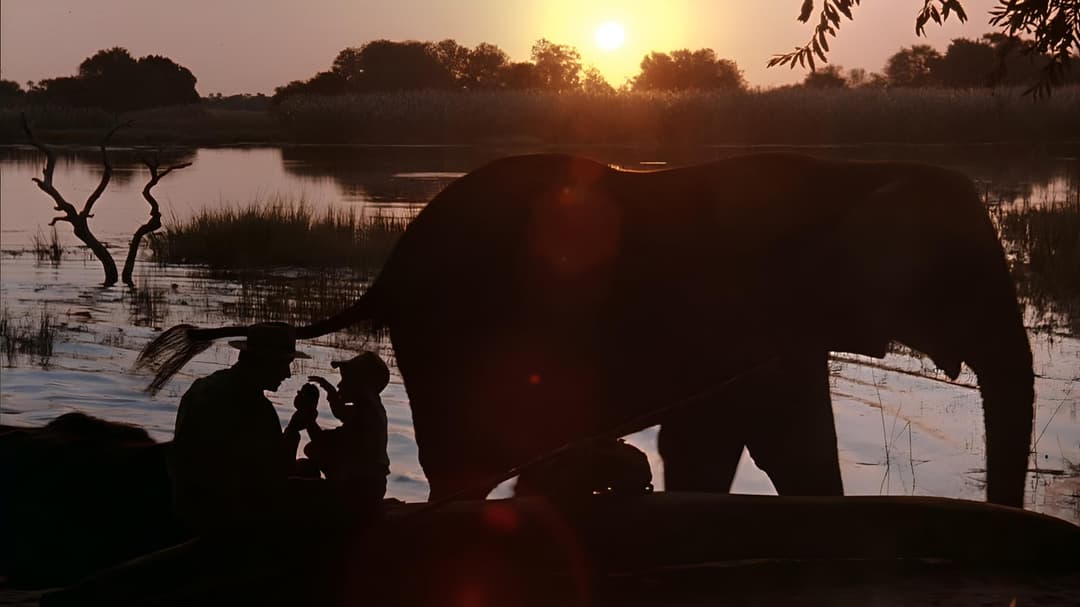 The Power of One backdrop 15