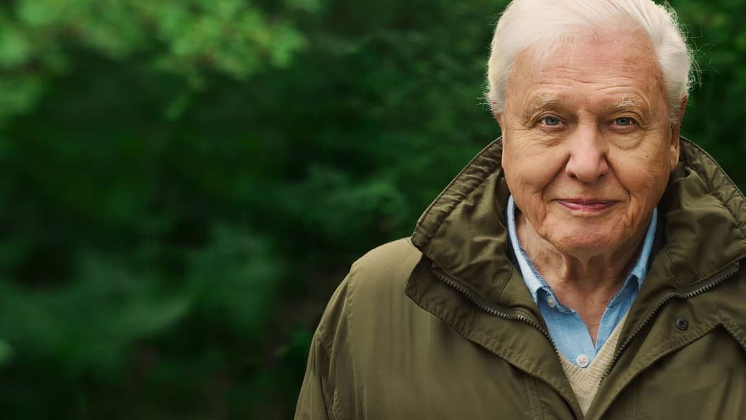 David Attenborough: Mein Leben auf unserem Planeten backdrop 7