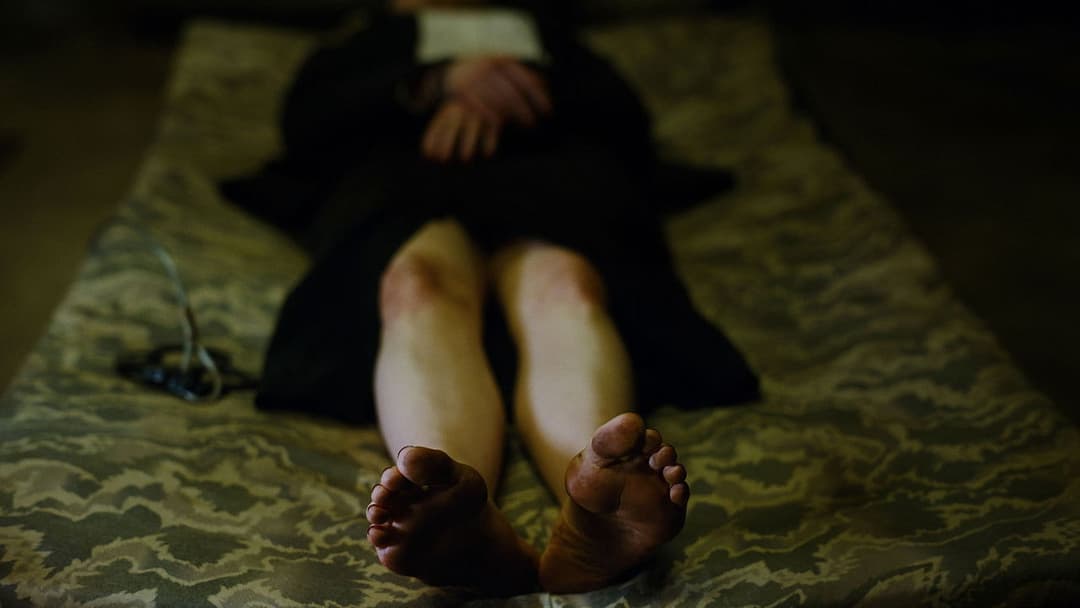 Буґонія backdrop 19