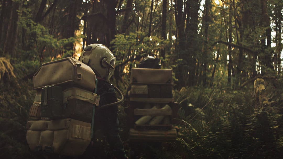 Перспектива backdrop 14