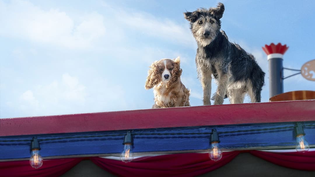 Леді та Блудько backdrop 6